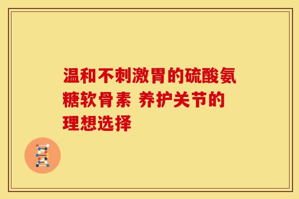 温和不刺激胃的硫酸氨糖软骨素 养护关节的理想选择