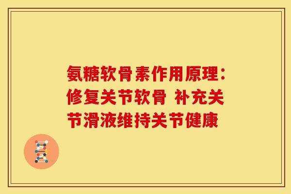 氨糖软骨素作用原理：修复关节软骨 补充关节滑液维持关节健康