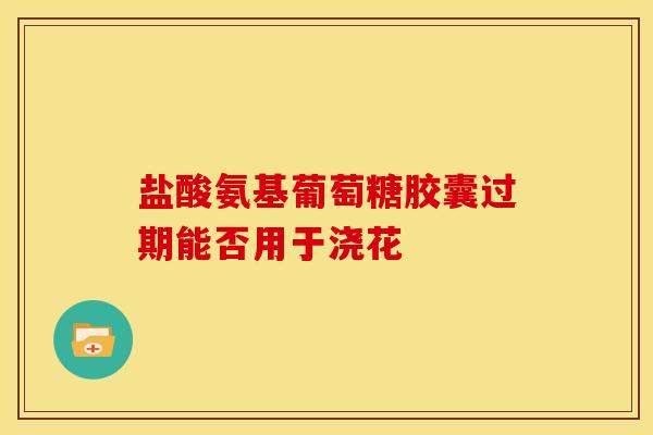 盐酸氨基葡萄糖胶囊过期能否用于浇花 盐酸氨基葡萄糖胶囊过期能否用于浇花