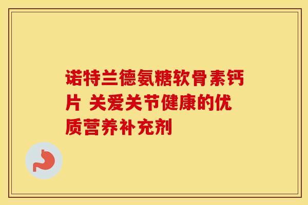 诺特兰德氨糖软骨素钙片 关爱关节健康的优质营养补充剂