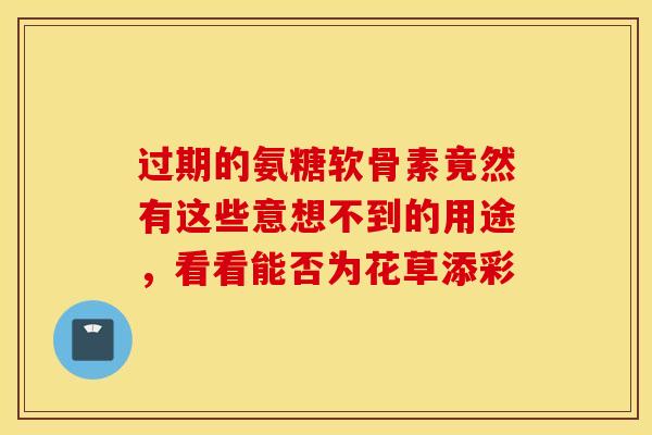 过期的氨糖软骨素竟然有这些意想不到的用途，看看能否为花草添彩