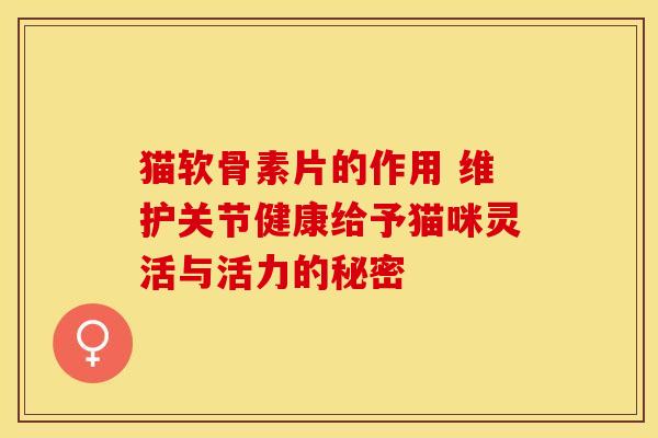 猫软骨素片的作用 维护关节健康给予猫咪灵活与活力的秘密