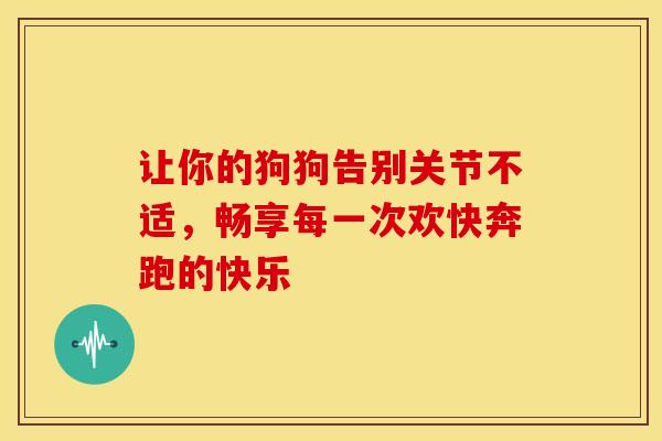 让你的狗狗告别关节不适，畅享每一次欢快奔跑的快乐