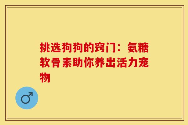 挑选狗狗的窍门：氨糖软骨素助你养出活力宠物
