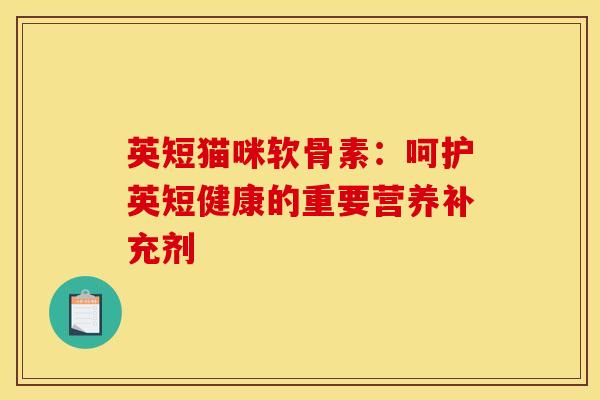 英短猫咪软骨素：呵护英短健康的重要营养补充剂
