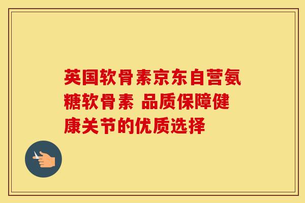 英国软骨素京东自营氨糖软骨素 品质保障健康关节的优质选择