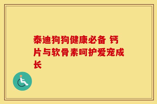 泰迪狗狗健康必备 钙片与软骨素呵护爱宠成长