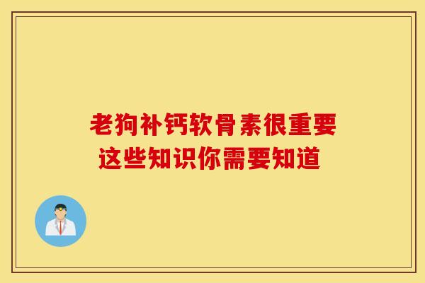 老狗补钙软骨素很重要 这些知识你需要知道 老狗补钙软骨素很重要 这些知识你需要知道